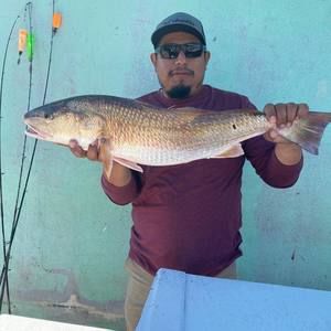 Meet your Posher, Ivan